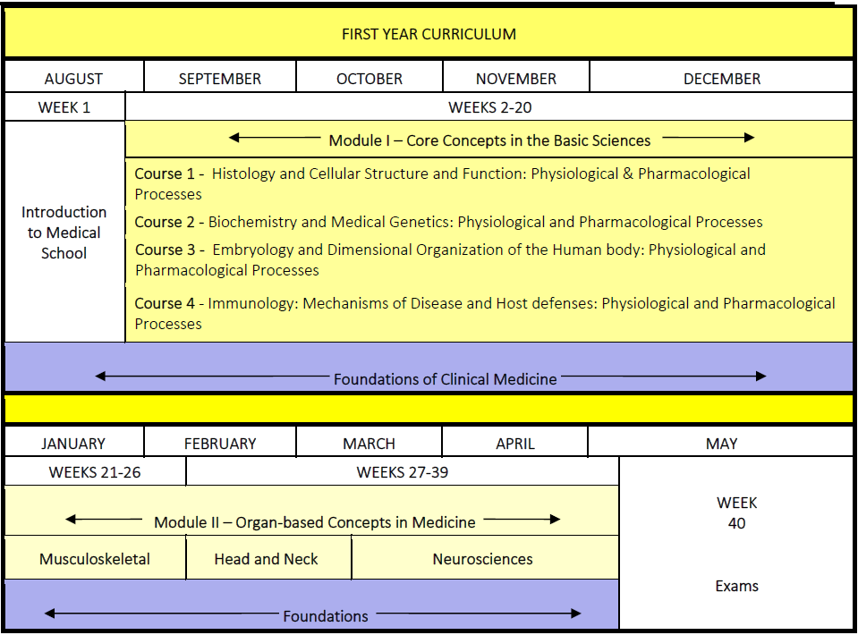 Medicine - FIRST YEAR CURRICULUM